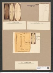 Dimerogramma marinum (Greg.) Ralfs. (de-Toni-Nr.: Genus 80, Species 2880) Zeichnungen Sammlung Grunow Nr. 5848 (NHMW-BOT-W0374283)